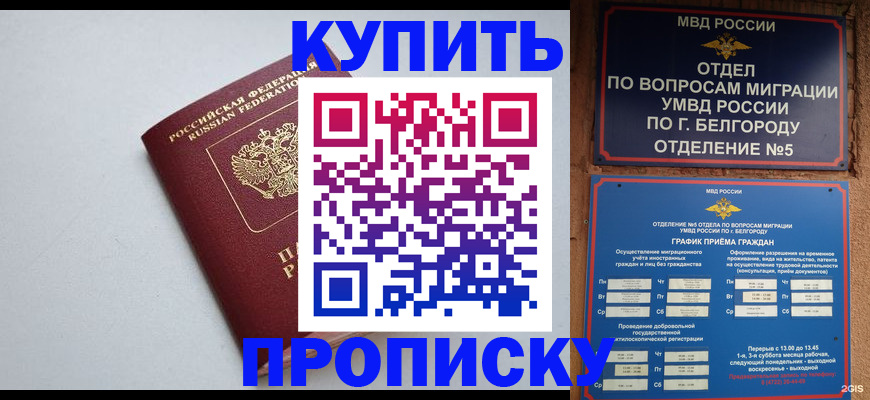 прописка регистрация в Зарайске